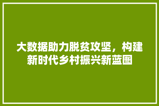 大数据助力脱贫攻坚，构建新时代乡村振兴新蓝图