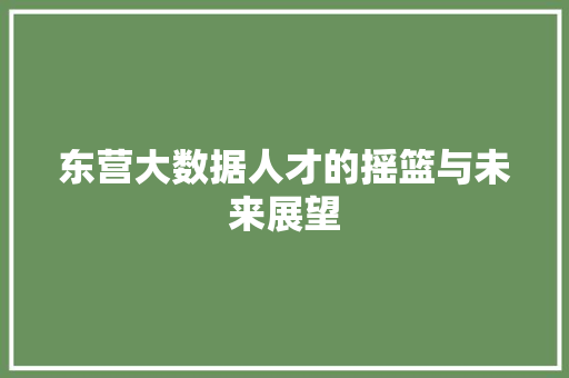 东营大数据人才的摇篮与未来展望