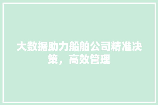 大数据助力船舶公司精准决策，高效管理  第1张