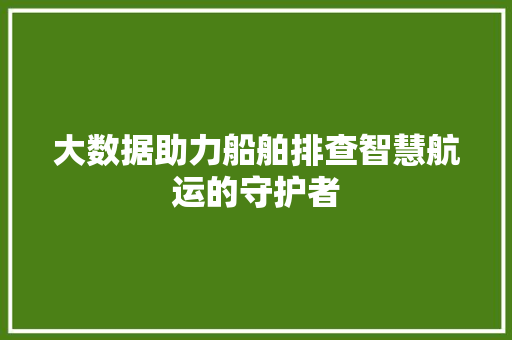 大数据助力船舶排查智慧航运的守护者  第1张