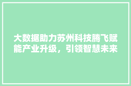 大数据助力苏州科技腾飞赋能产业升级，引领智慧未来