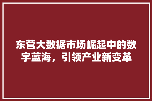 东营大数据市场崛起中的数字蓝海，引领产业新变革