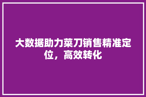 大数据助力菜刀销售精准定位，高效转化  第1张