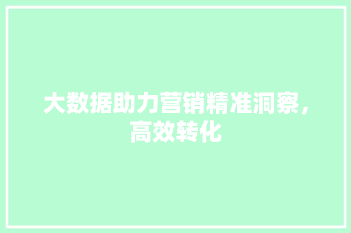 大数据助力营销精准洞察，高效转化
