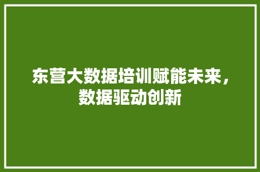 东营大数据培训赋能未来，数据驱动创新
