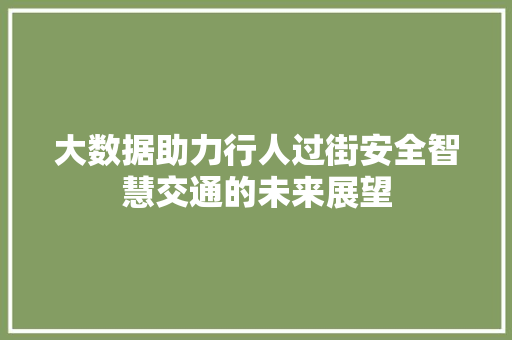 大数据助力行人过街安全智慧交通的未来展望