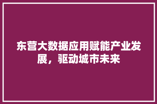 东营大数据应用赋能产业发展，驱动城市未来