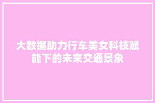 大数据助力行车美女科技赋能下的未来交通景象  第1张