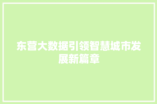 东营大数据引领智慧城市发展新篇章