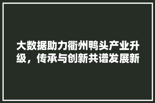 大数据助力衢州鸭头产业升级，传承与创新共谱发展新篇章  第1张