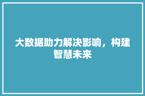 大数据助力解决影响，构建智慧未来  第1张
