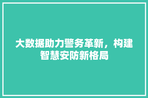 大数据助力警务革新，构建智慧安防新格局
