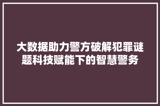 大数据助力警方破解犯罪谜题科技赋能下的智慧警务  第1张