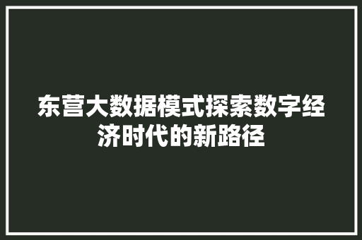 东营大数据模式探索数字经济时代的新路径
