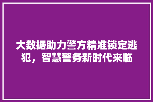 大数据助力警方精准锁定逃犯，智慧警务新时代来临  第1张