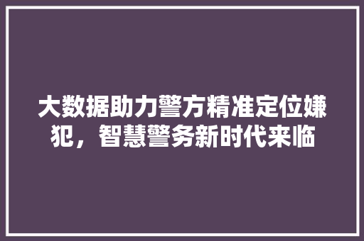 大数据助力警方精准定位嫌犯，智慧警务新时代来临