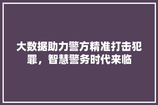 大数据助力警方精准打击犯罪，智慧警务时代来临