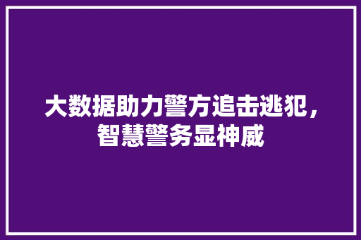 大数据助力警方追击逃犯，智慧警务显神威