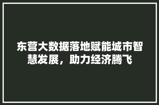 东营大数据落地赋能城市智慧发展，助力经济腾飞