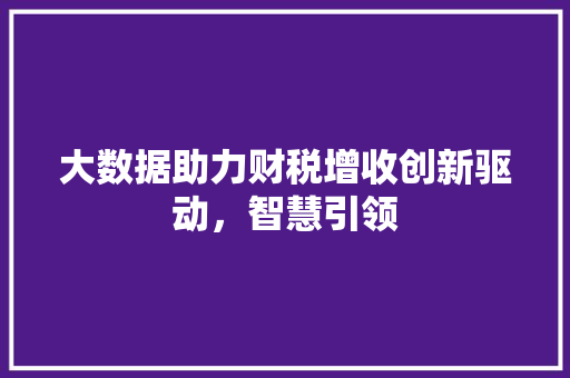 大数据助力财税增收创新驱动，智慧引领