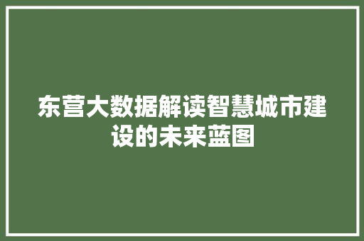 东营大数据解读智慧城市建设的未来蓝图