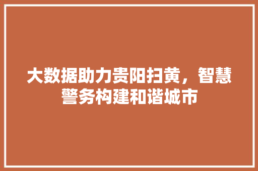 大数据助力贵阳扫黄，智慧警务构建和谐城市