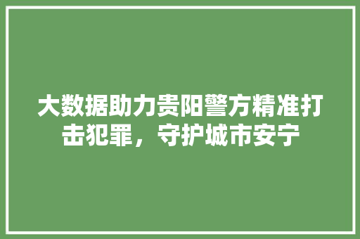 大数据助力贵阳警方精准打击犯罪，守护城市安宁