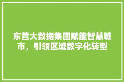 东营大数据集团赋能智慧城市，引领区域数字化转型