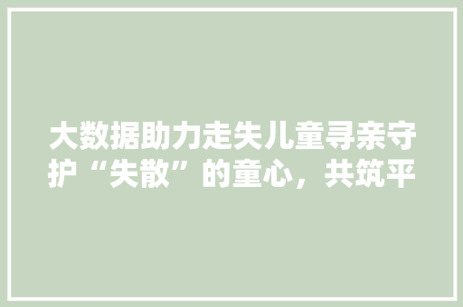 大数据助力走失儿童寻亲守护“失散”的童心，共筑平安防线