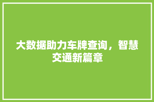 大数据助力车牌查询，智慧交通新篇章  第1张