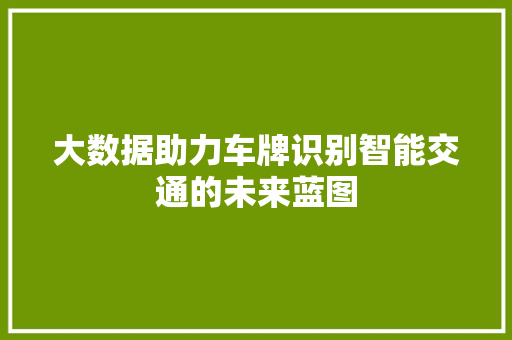 大数据助力车牌识别智能交通的未来蓝图  第1张