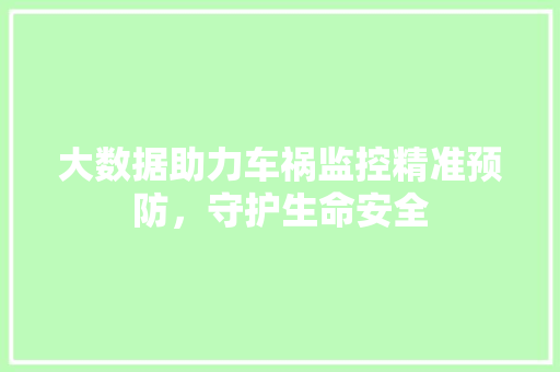 大数据助力车祸监控精准预防，守护生命安全