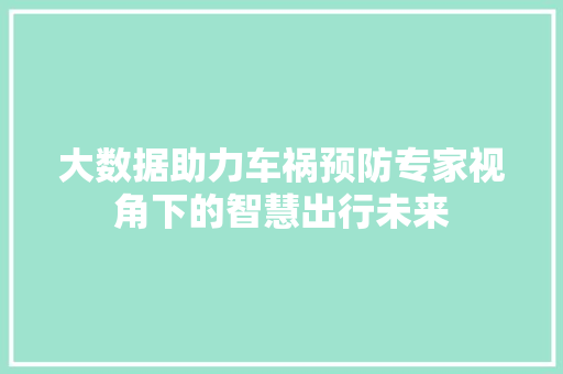大数据助力车祸预防专家视角下的智慧出行未来