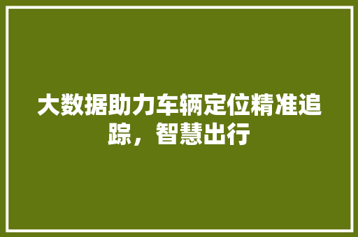 大数据助力车辆定位精准追踪，智慧出行