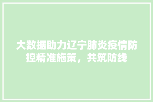 大数据助力辽宁肺炎疫情防控精准施策，共筑防线