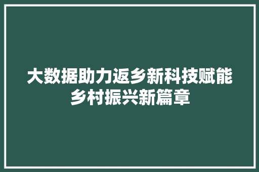 大数据助力返乡新科技赋能乡村振兴新篇章  第1张