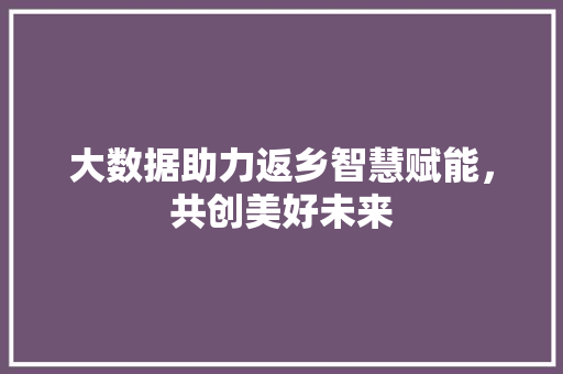 大数据助力返乡智慧赋能，共创美好未来  第1张