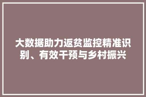 大数据助力返贫监控精准识别、有效干预与乡村振兴