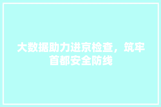大数据助力进京检查，筑牢首都安全防线