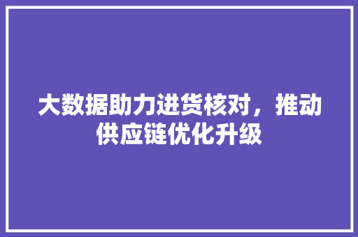 大数据助力进货核对，推动供应链优化升级  第1张