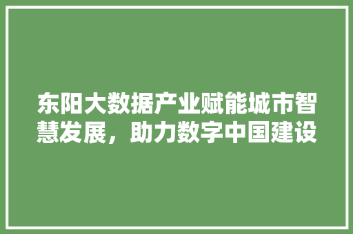 东阳大数据产业赋能城市智慧发展，助力数字中国建设