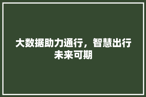 大数据助力通行，智慧出行未来可期  第1张