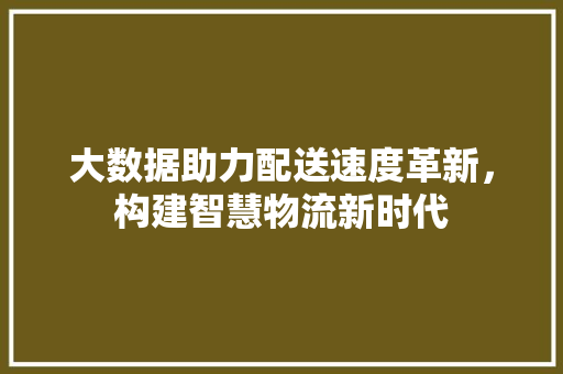 大数据助力配送速度革新，构建智慧物流新时代  第1张