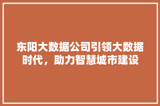 东阳大数据公司引领大数据时代，助力智慧城市建设
