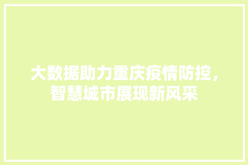 大数据助力重庆疫情防控，智慧城市展现新风采