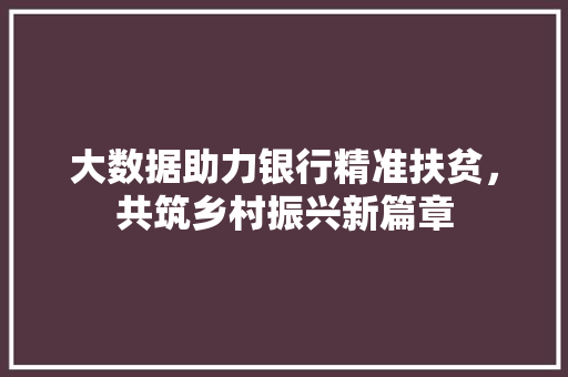 大数据助力银行精准扶贫，共筑乡村振兴新篇章