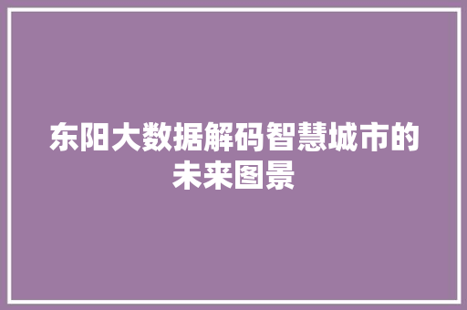 东阳大数据解码智慧城市的未来图景