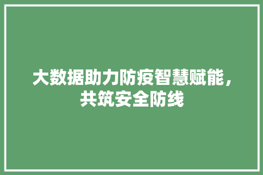大数据助力防疫智慧赋能，共筑安全防线  第1张
