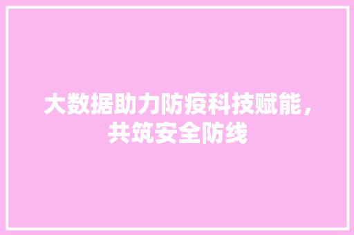 大数据助力防疫科技赋能，共筑安全防线