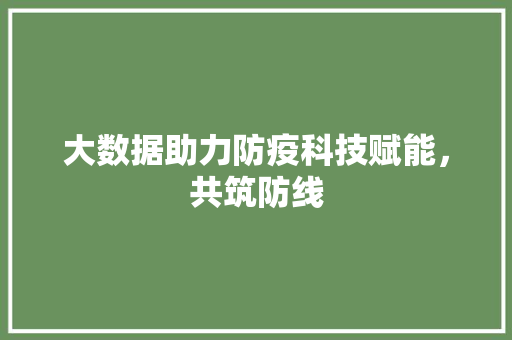 大数据助力防疫科技赋能，共筑防线